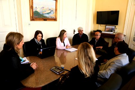 14.06.2018 - Prefeita Paula mascarenhas em reunião com comitê das PPPs - Foto: Gustavo Vara