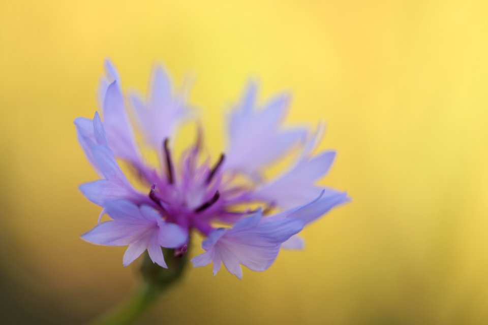 bokeh exercises