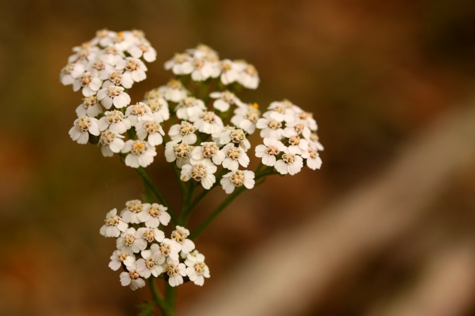 macro exercises