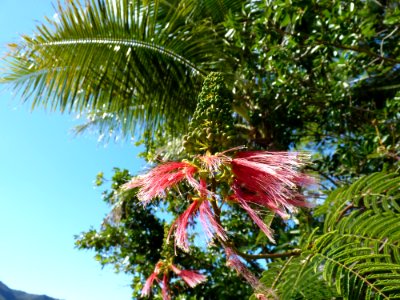 P1110590