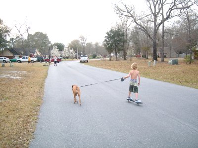 Mojo Pulling Tre 2