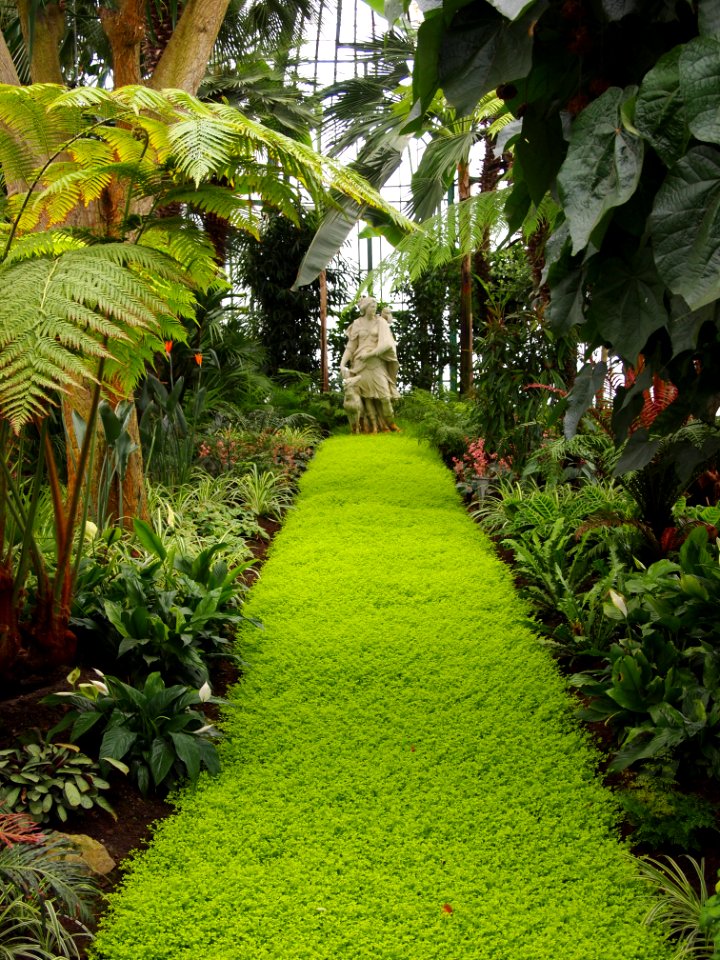 Inside the Royal Greenhouse