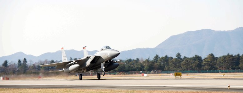 Vigilant ace 18