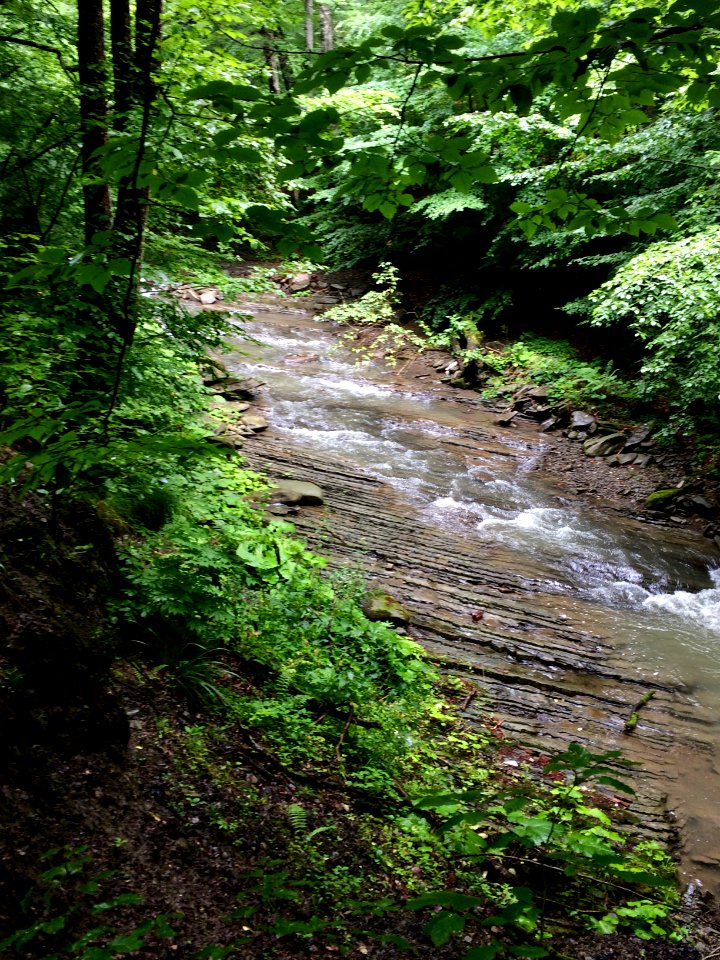 Carpathian Stream