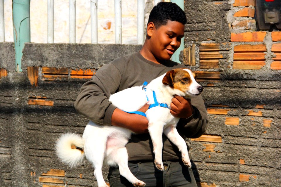 14.08.2018 - SMS - Doação de Cães - Fotos Marcel Avila