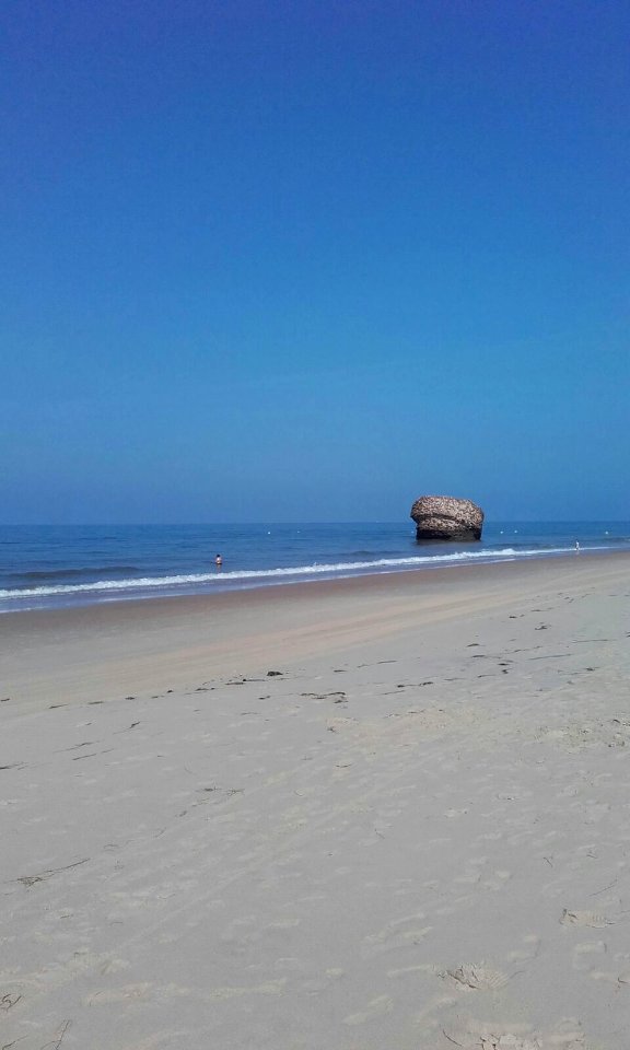 Playa de Matalascañas (Huelva).