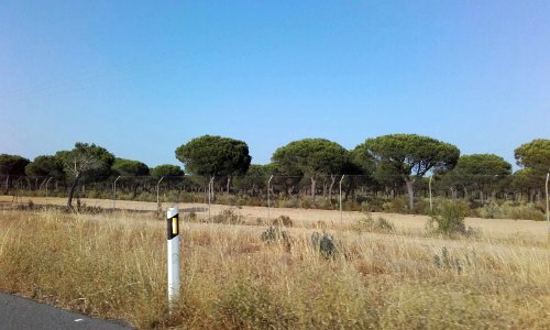 Parque Natural de Doñana (Huelva).