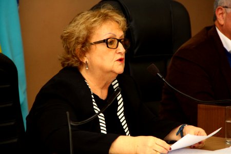 25.09.2018 - SECRETARIA DE GOVERNO - Audiência Pública sobre Setembro Amarelo - Foto Marcel Avila