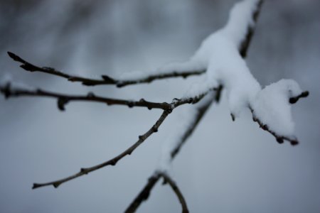 IMG 4135