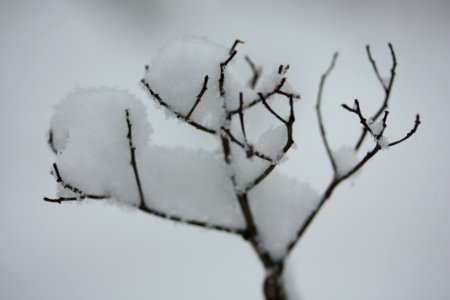 IMG 4210