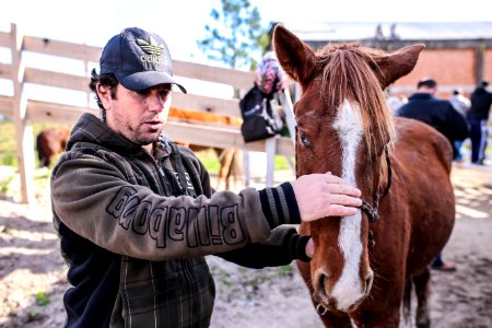 31.07.2018 Entrega de cavalos para adoção - Fotos Gustavo Mansur