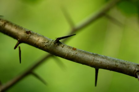 IMG 4974