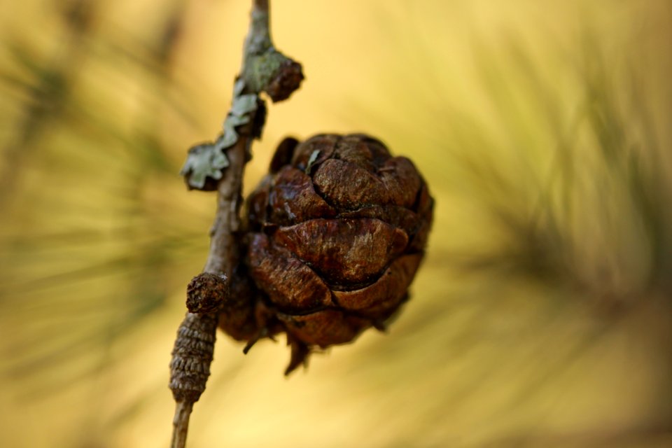 macro exercises