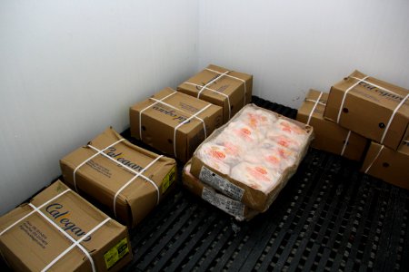 04.12.2018 - SAS - Melhorias na Aquisição de Alimentos - Foto Marcel Avila