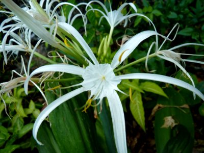 P1110509