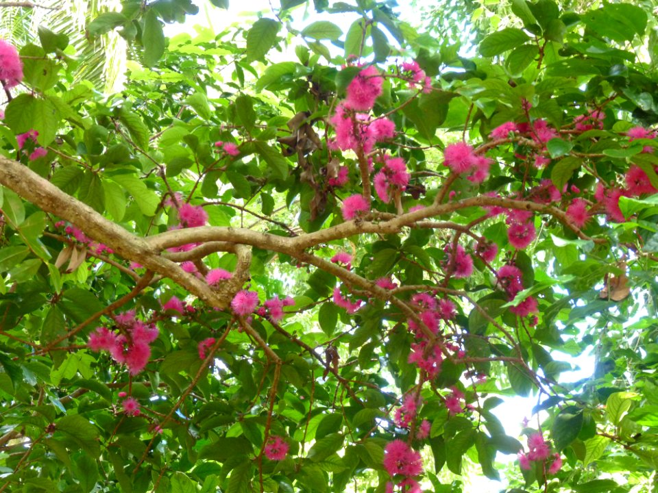 P1110032
