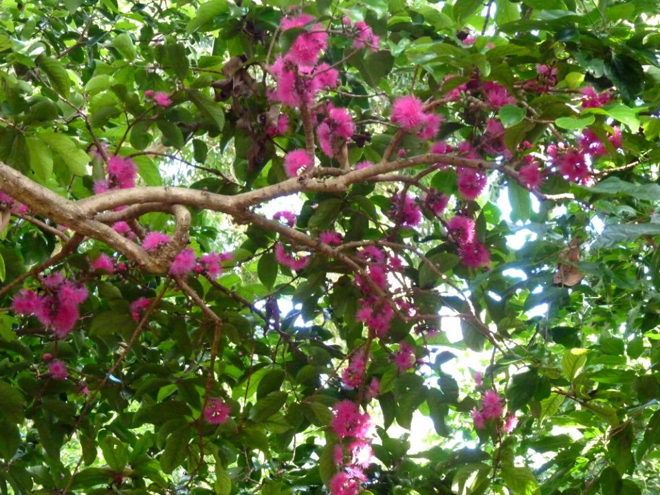 P1110047
