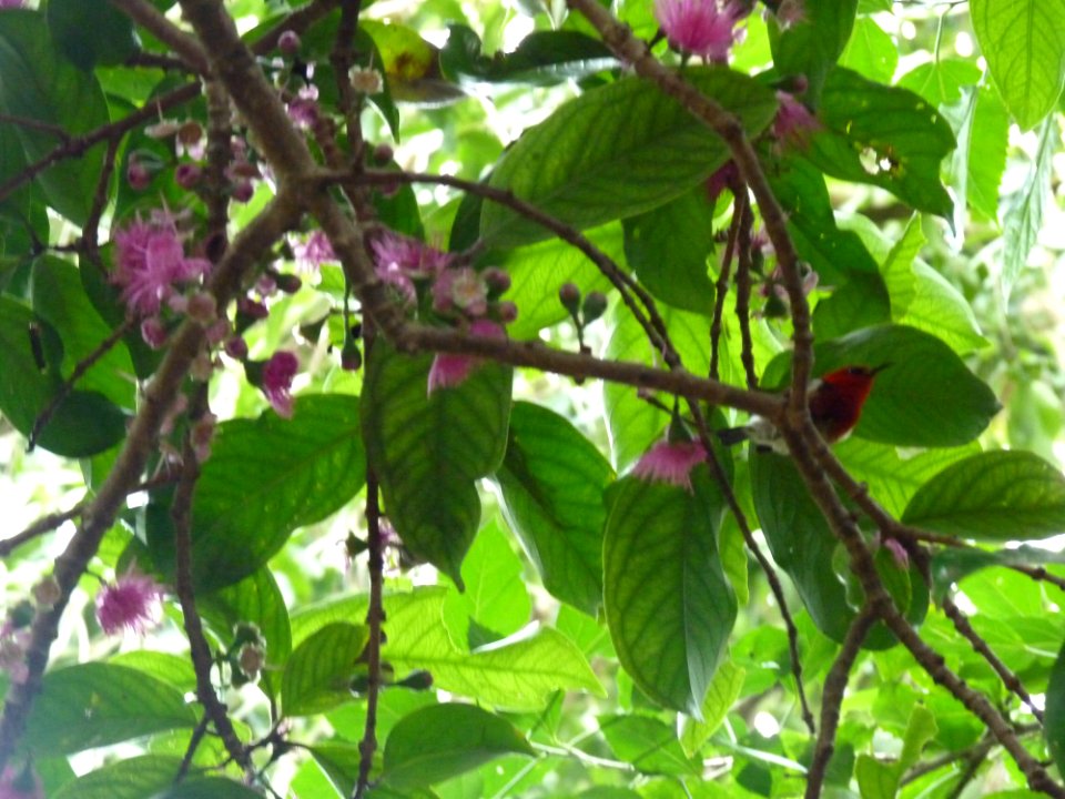 P1110058
