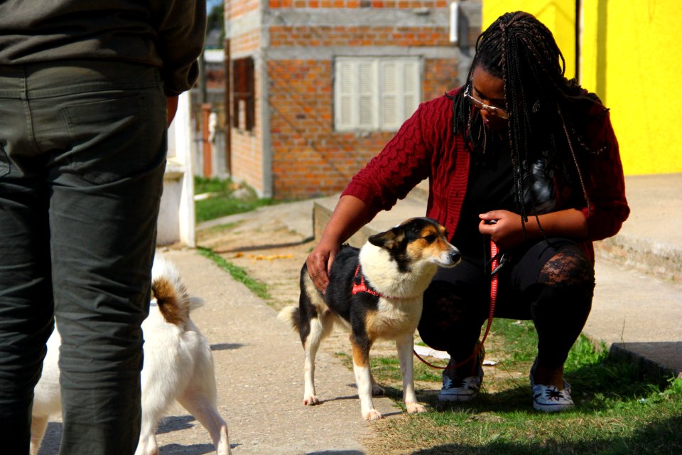 14.08.2018 - SMS - Doação de Cães - Fotos Marcel Avila