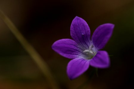 macro exercises