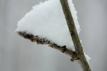 IMG 4215