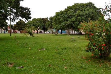 24.04.2019 - SQA - Pça do Fátima  - Foto Janine Tomberg (4)