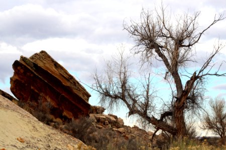 Petroglyphs near Puerco Pueblo photo