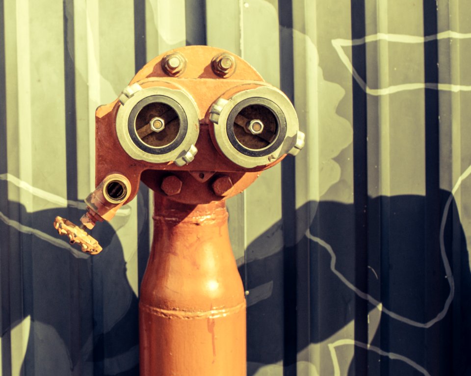 Little fire hydrant