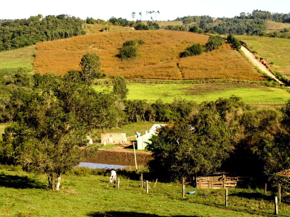 Colônia de Pelotas