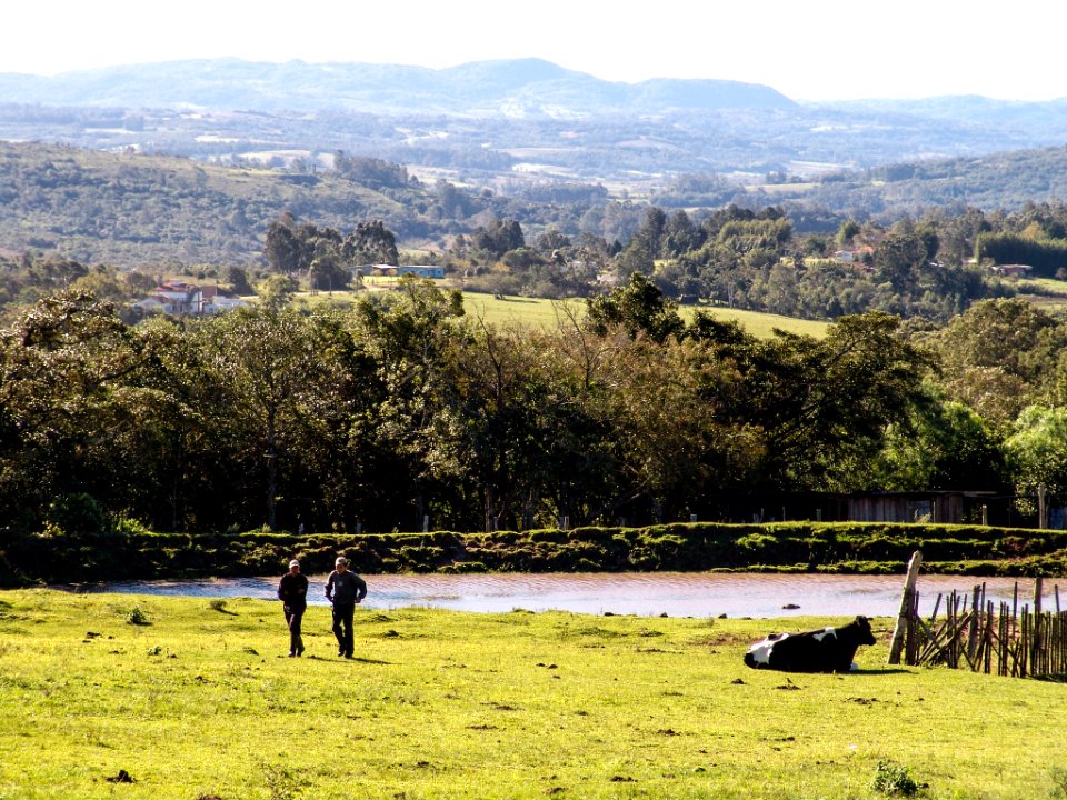 Colônia de Pelotas