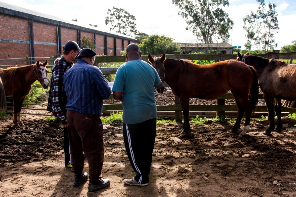 16.05.2019 Adoção Cavalos - Fotos Igor Sobral (17)
