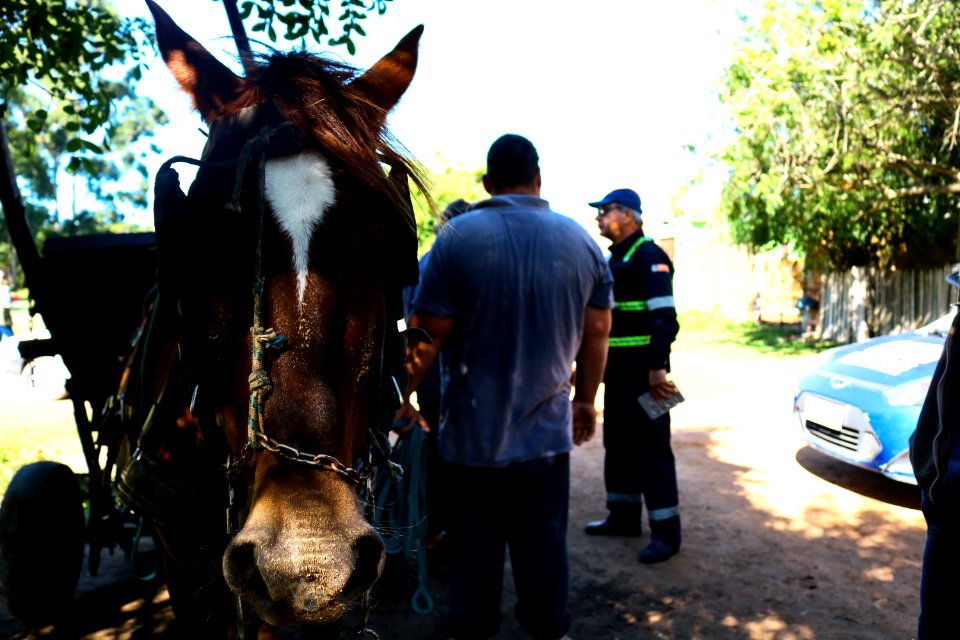 09.04.2019 - Blitz do Comupa - Foto Michel Corvello