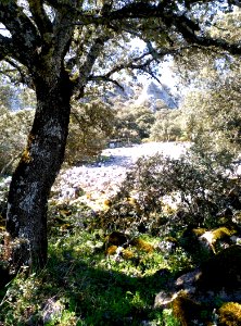 IMG 20170401 143002