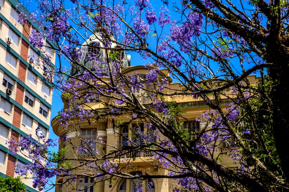 Grand Hotel - Gustavo Mansur