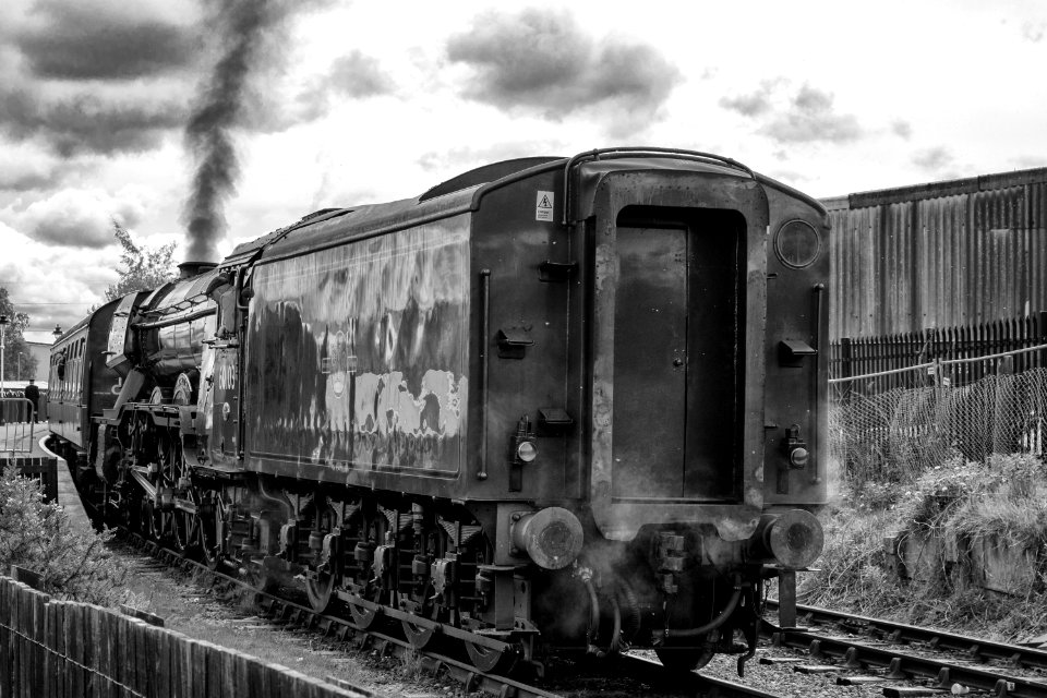 DSC 1552-2