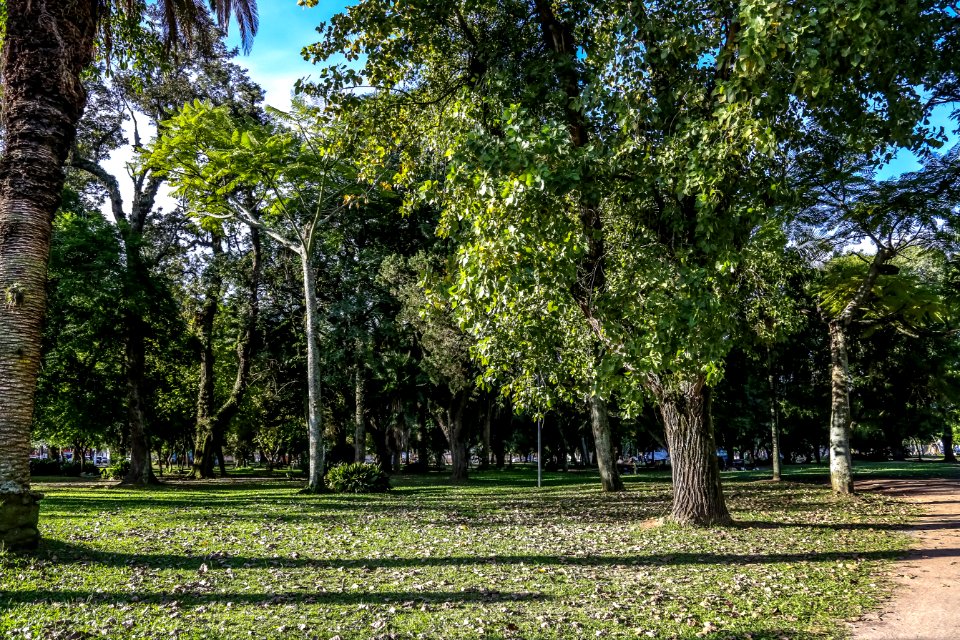 Parque Dom Antônio Zattera - Gustavo Mansur-5