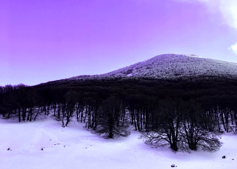 Namek d'Inverno