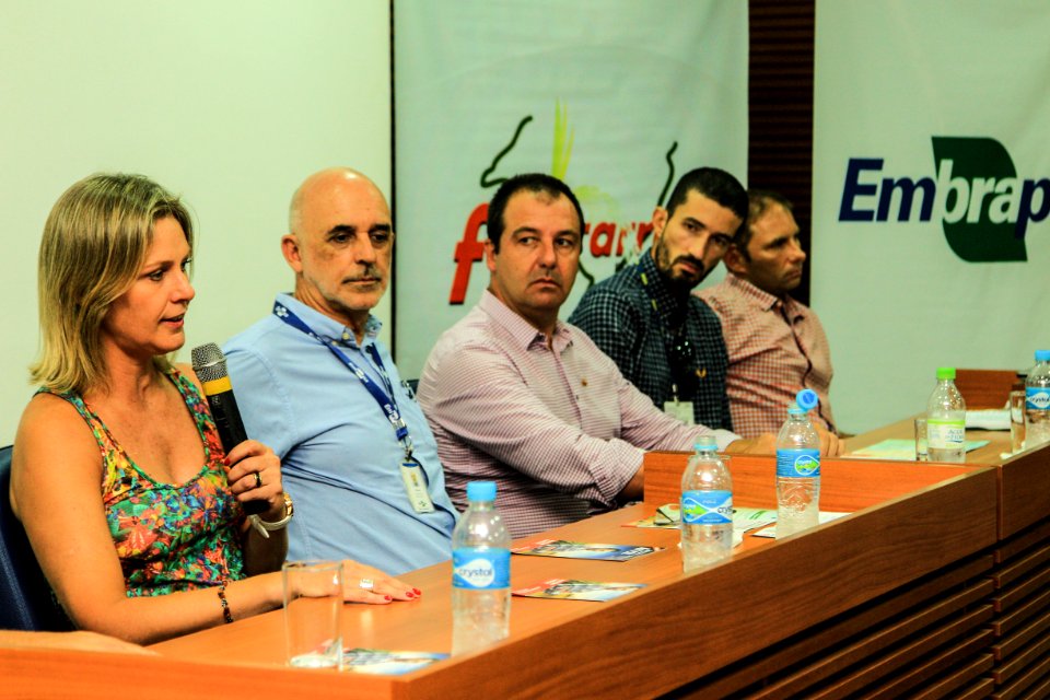 30.01.2019 - Prefeita Paula Mascarenhas durante coletiva de imprensa da 29ª Abertura Oficial da Colheita do Arroz - Foto: Gustavo Vara