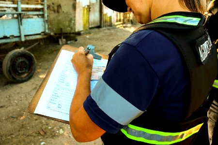 15.03.2019 - Blitz de Apreensão de Cavalos - Foto Michel Corvello