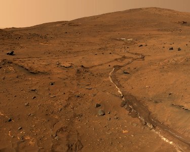 Mars Rover Tracks photo