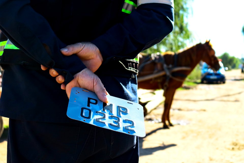09.04.2019 - Blitz do Comupa - Foto Michel Corvello
