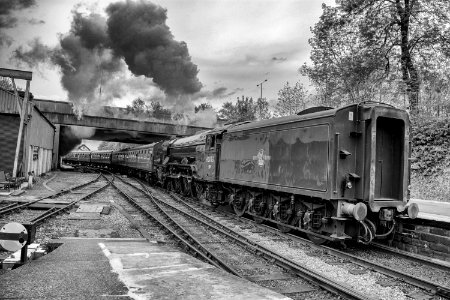 DSC 1598-2