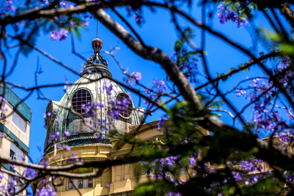 Grand Hotel - Gustavo Mansur-2
