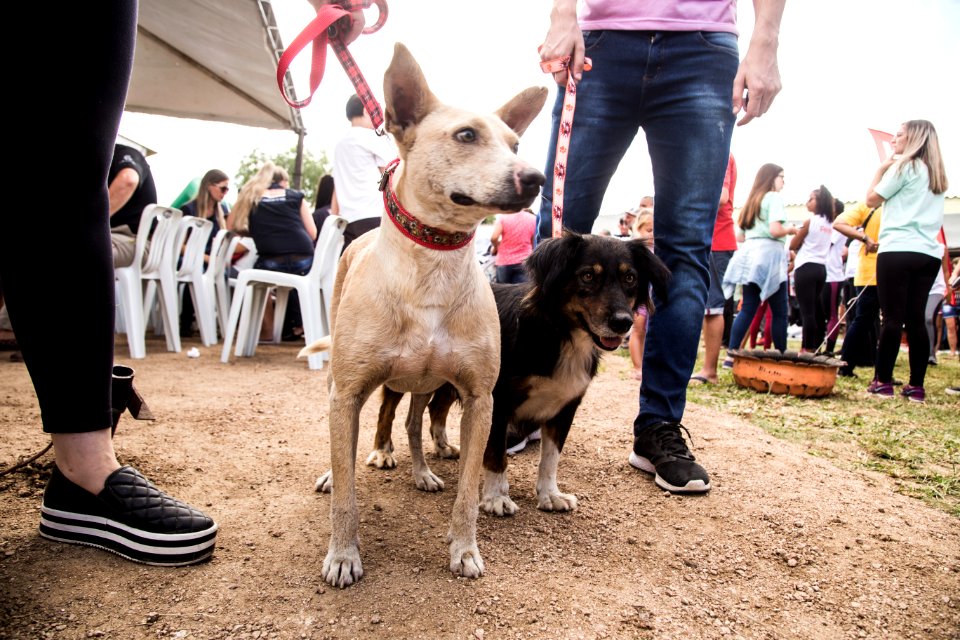 13.04.2019 - O Bairro da Gente no Sítio Floresta - Foto: Gustavo Vara