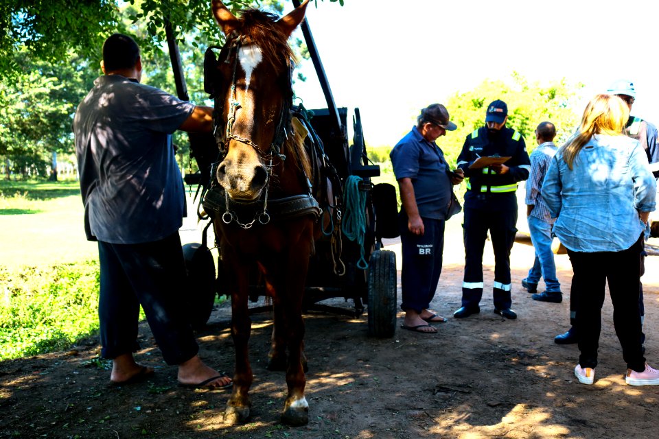 09.04.2019 - Blitz do Comupa - Foto Michel Corvello
