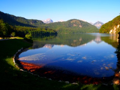 Alpsee in Southern Germany photo