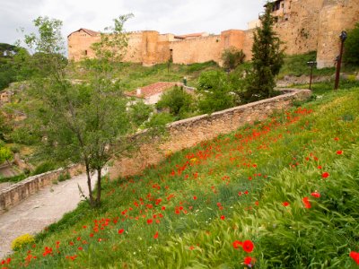 Segovia City Walls