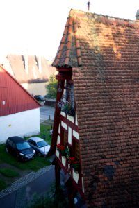 IMG 9646