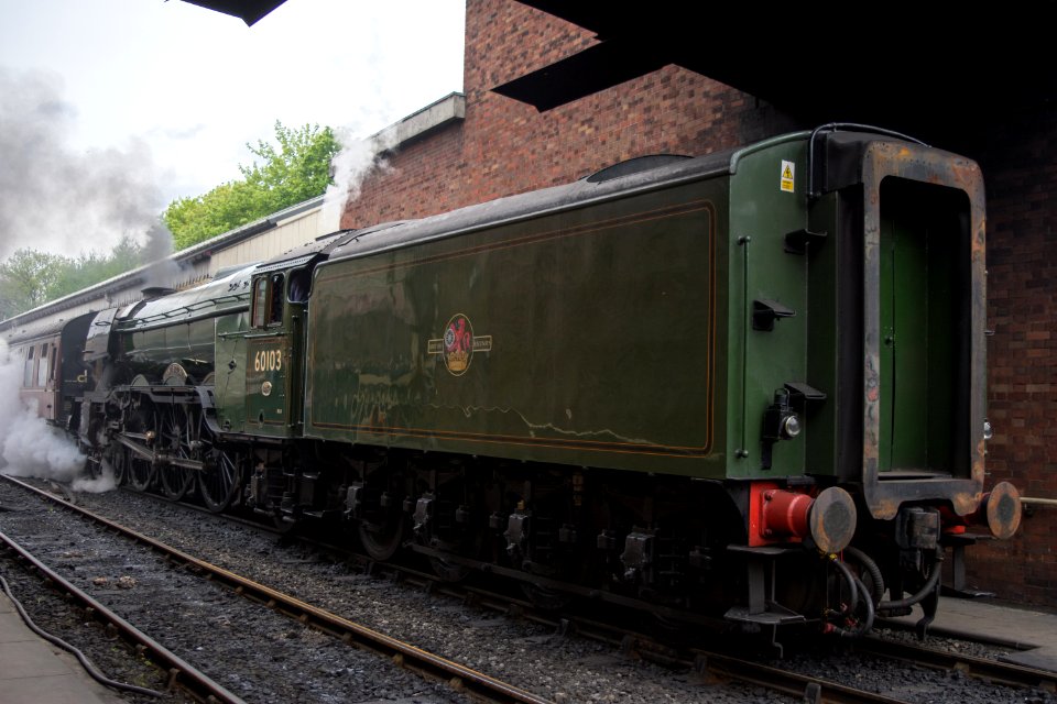 DSC 1614