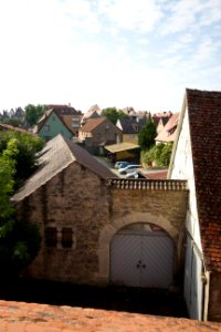 IMG 9861